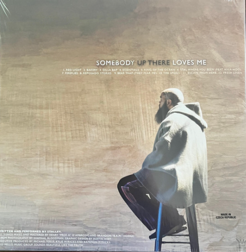 Vinyle