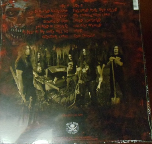 Vinyle