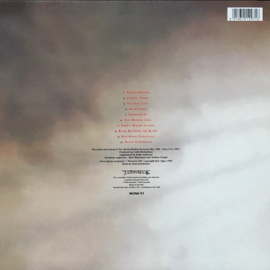 Vinyle