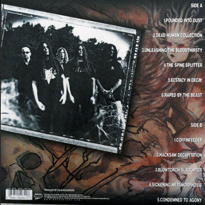 Vinyle