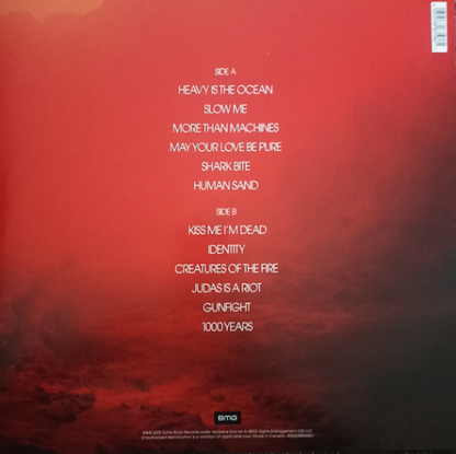 Vinyle