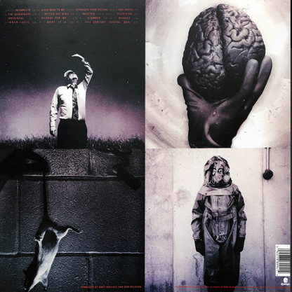 Vinyle