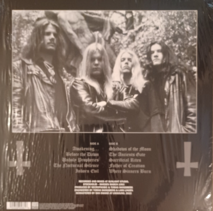 Vinyle