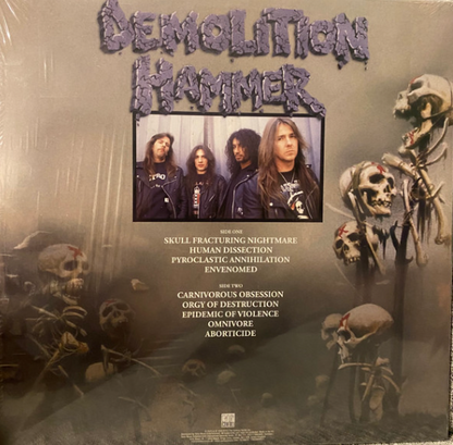 Vinyle