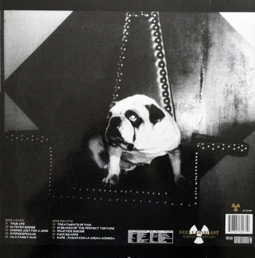 Vinyle