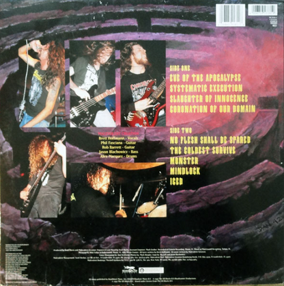 Vinyle