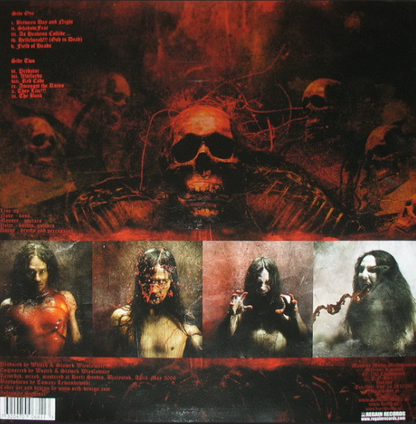 Vinyle