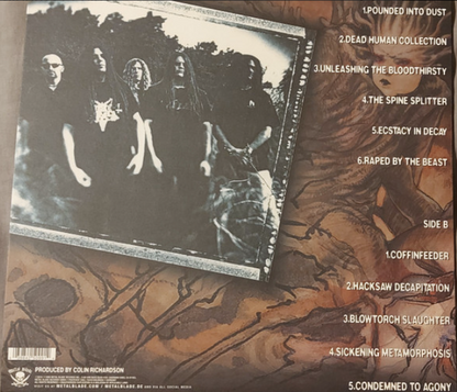 Vinyle