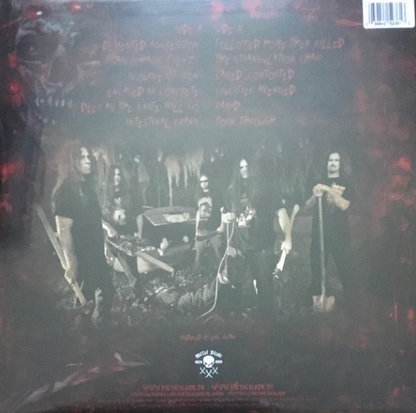 Vinyle