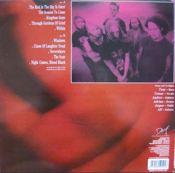 Vinyle
