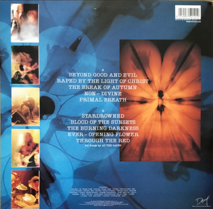 Vinyle