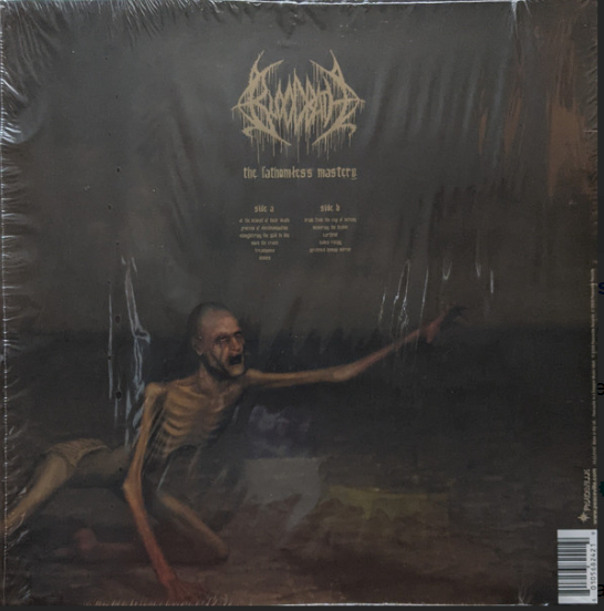 Vinyle