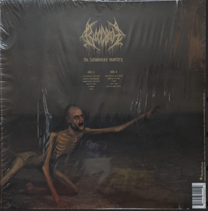 Vinyle