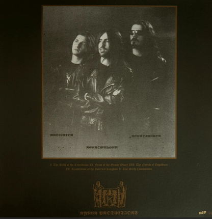 Vinyle