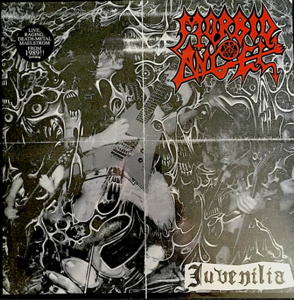 Vinyle