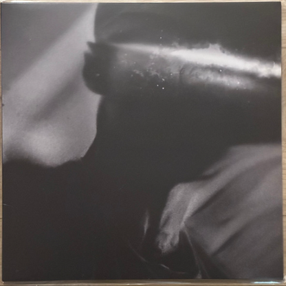 Vinyle