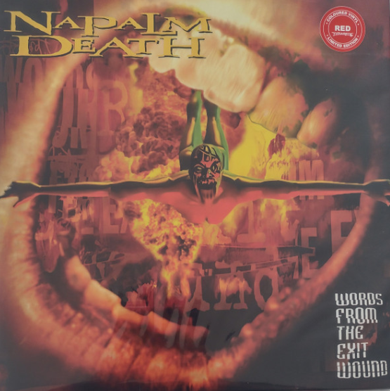 Vinyle