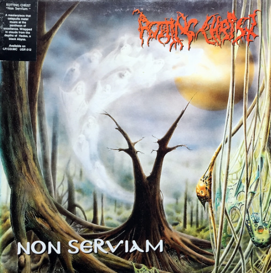 Vinyle